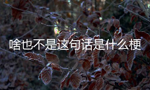 这句话是不是梗啥也什么